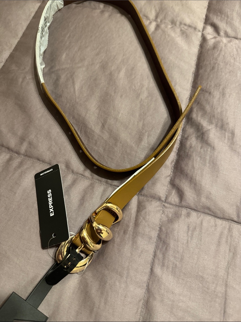 Express Gold Chain-Link Buckle Belt in Brown-Tan